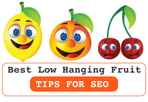 Best Low Hanging Fruit Tips For SEO