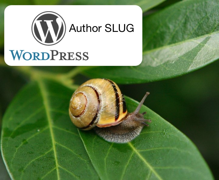 2017 WordPress Author Slug Security Issues