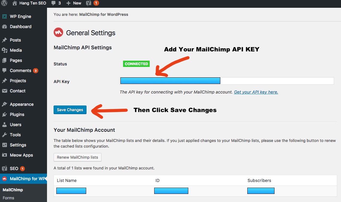MailChimp API Key