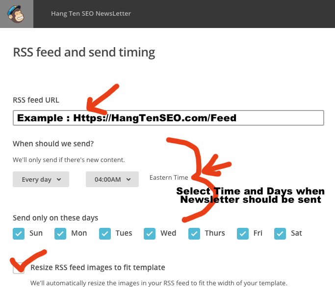 RSS feed and send timing MailChimp